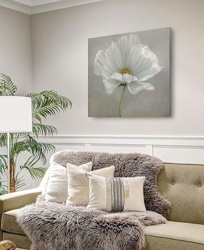 Wexford Home Daisy Detail II Gallery Wrapped Canvas Wall Art, 10x10