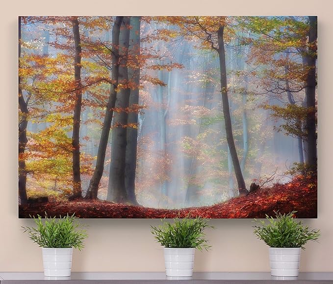 Renditions Gallery Canvas Nature Wall Art for Home Misty Orange Autumn Trees Forest Hanging Prints for Living Room Office Kitchen Decor - 12"X18" LT08