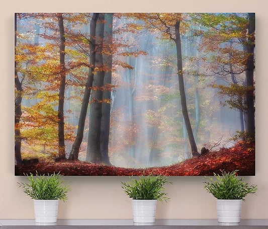 Renditions Gallery Canvas Nature Wall Art for Home Misty Orange Autumn Trees Forest Hanging Prints for Living Room Office Kitchen Decor - 24"X36" LT08