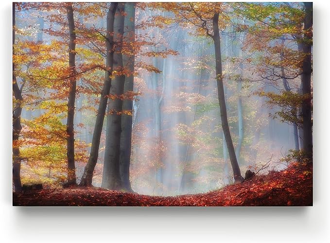 Renditions Gallery Canvas Nature Wall Art for Home Misty Orange Autumn Trees Forest Hanging Prints for Living Room Office Kitchen Decor - 18"X27" LT08