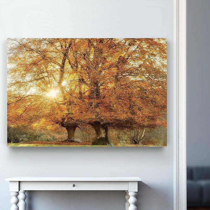 Renditions Gallery Nature Art Pictures & Prints Sunlight coming through Orange Autumn Trees Canvas Hanging Artwork for Bedroom Living Room Office Wall Decor - 12"X18" LT08