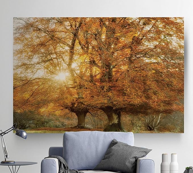 Renditions Gallery Nature Art Pictures & Prints Sunlight coming through Orange Autumn Trees Canvas Hanging Artwork for Bedroom Living Room Office Wall Decor - 18"X27" LT08