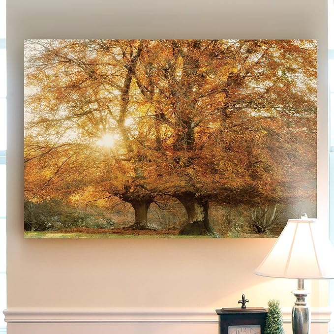 Renditions Gallery Nature Art Pictures & Prints Sunlight coming through Orange Autumn Trees Canvas Hanging Artwork for Bedroom Living Room Office Wall Decor - 24"X36" LT08