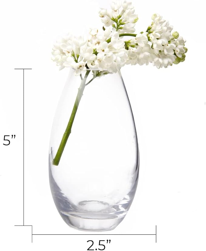 CHIVE ‘George’ Glass Bottle Flower Vases — Set of 6 — Small, Elegant Clear Glass Bud Vases — Bulk Pack for Home Decor & Table Centerpieces — Shape 5 (Oval, 5” Tall, 2.5” Wide)