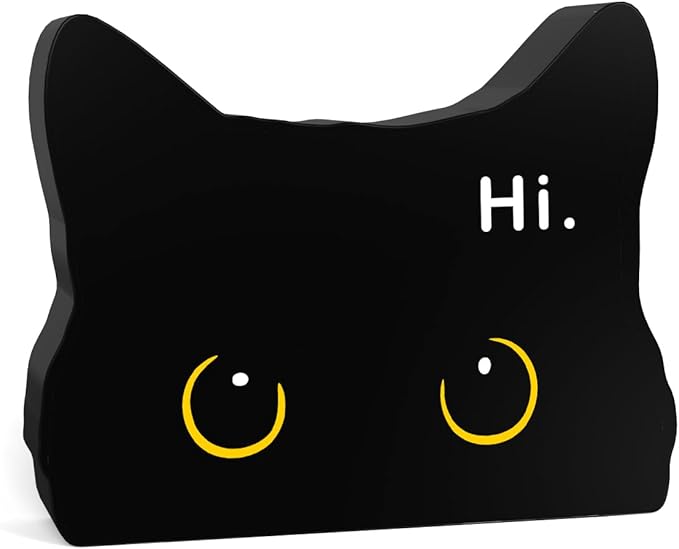 Black Cat Funny Home Bathroom Acrylic Decor Sign Black Cat Decor Cat Bathroom Decor Cat Decor for Home Bathroom Living Room Cat Lover Gifts For Women Men