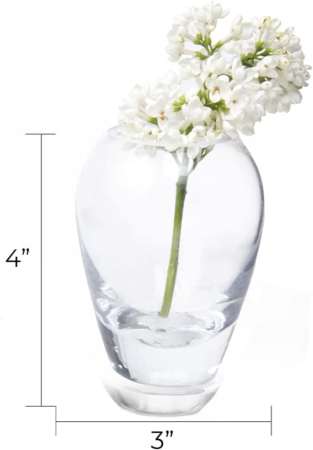 CHIVE ‘George’ Glass Bottle Flower Vases — Set of 6 — Small, Elegant Clear Glass Bud Vases — Bulk Pack for Home Decor & Table Centerpieces — Shape 1 (Oval, 4” Tall, 3” Wide)