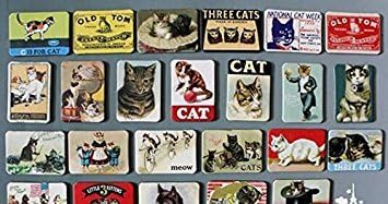 24-pcs Magnetic Fridge Magnets Refrigerator Sticker Scenery Home Decoration Animal Classic cars Accessories Magnetic Paste Arts/Crafts (Cat)