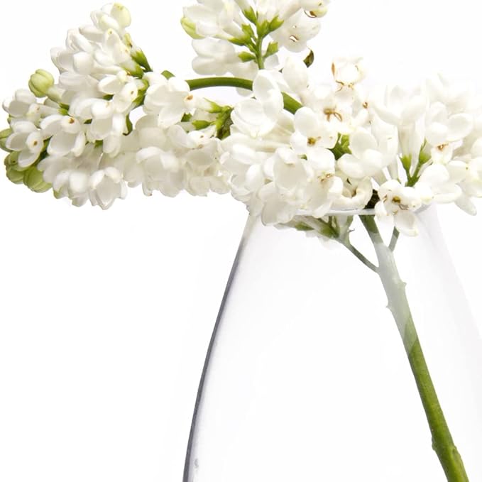 CHIVE ‘George’ Glass Bottle Flower Vases — Set of 6 — Small, Elegant Clear Glass Bud Vases — Bulk Pack for Home Decor & Table Centerpieces — Shape 5 (Oval, 5” Tall, 2.5” Wide)