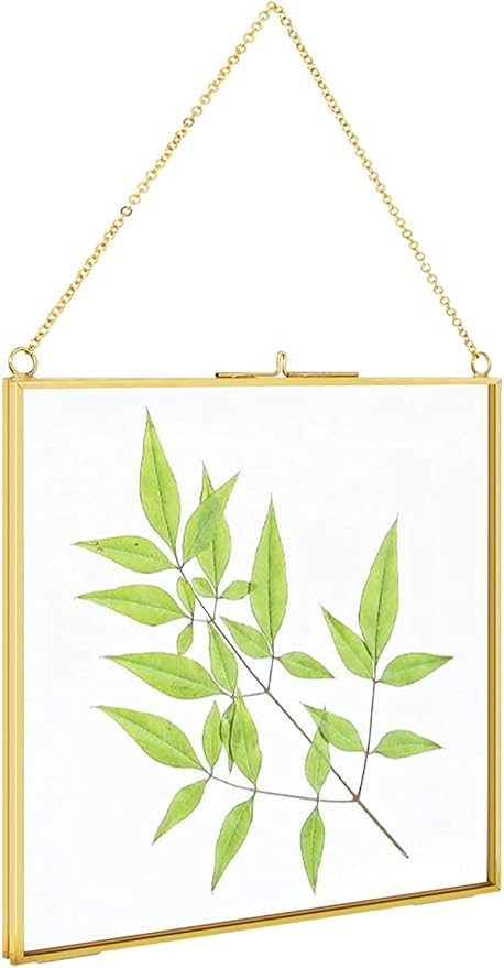 TLBTEK 6 inch Hanging Photo Frame, Double Glass Frame for Pressed Flowers,Clear DIY Vintage Artwork Display Frame Wall Mounted Photos Frame