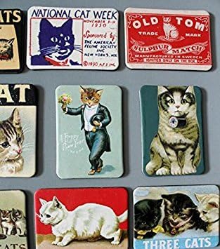 24-pcs Magnetic Fridge Magnets Refrigerator Sticker Scenery Home Decoration Animal Classic cars Accessories Magnetic Paste Arts/Crafts (Cat)