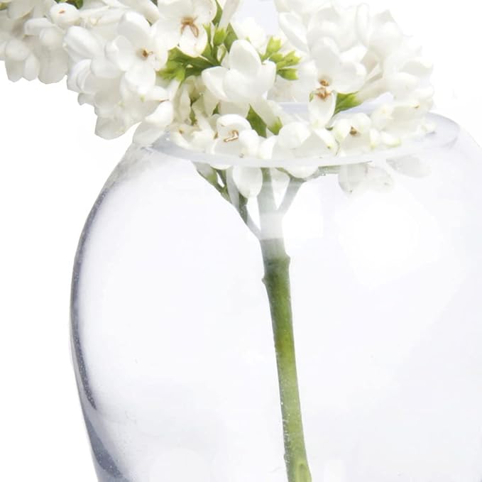 CHIVE ‘George’ Glass Bottle Flower Vases — Set of 6 — Small, Elegant Clear Glass Bud Vases — Bulk Pack for Home Decor & Table Centerpieces — Shape 1 (Oval, 4” Tall, 3” Wide)