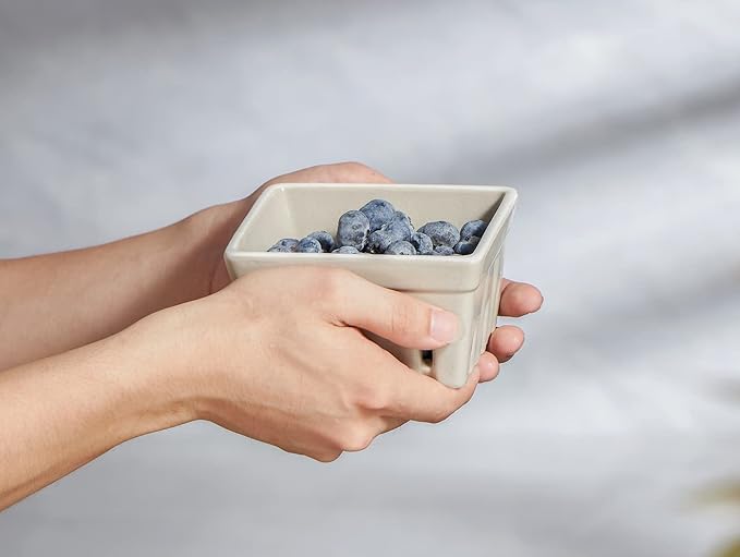 ONEMORE Ceramic Berry Basket, Rustic Stoneware Berry Bowls Colander, Square Fruit Bowls for Kitchen Décor Set of 4, 4.5 inch, Assorted Color