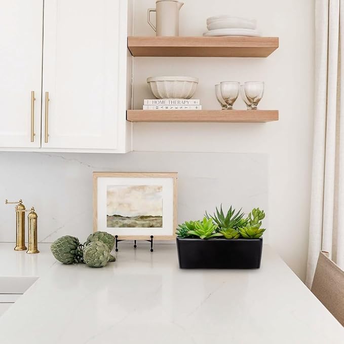 Artificial Succulents Plants in Ceramic Planter Assorted Faux Succulents in Pots Arrangement Fake Succulent Potted Plant for Home Office Desk Bathroom Shelf Living Room Indoor Outdoor Decor - White