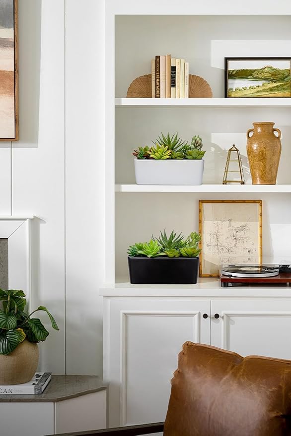 Artificial Succulents Plants in Ceramic Planter Assorted Faux Succulents in Pots Arrangement Fake Succulent Potted Plant for Home Office Desk Bathroom Shelf Living Room Indoor Outdoor Decor - Black