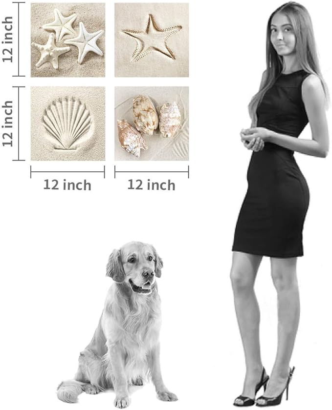 Coastal Serene Canvas Wall Art: Shells on Beach Sand Giclee Print Painting for Wall Decor for SPA Room (12''x12''x4pcs)