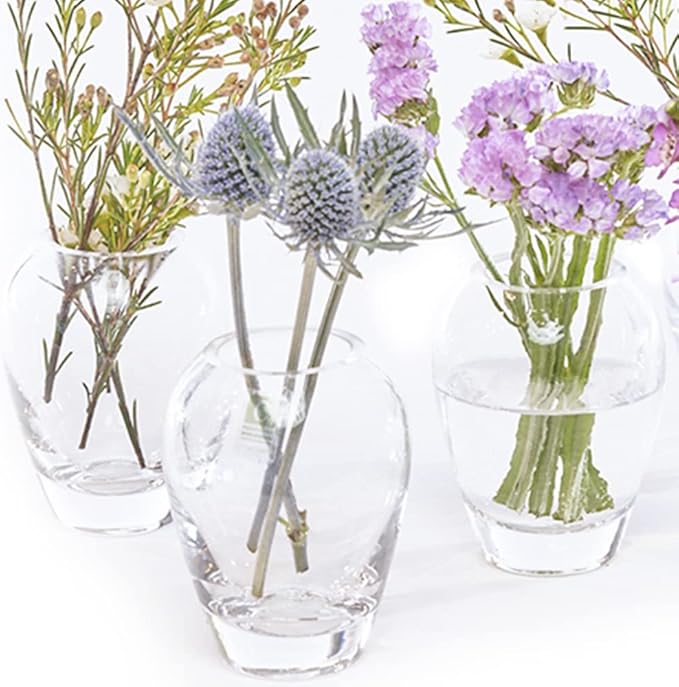 CHIVE ‘George’ Glass Bottle Flower Vases — Set of 6 — Small, Elegant Clear Glass Bud Vases — Bulk Pack for Home Decor & Table Centerpieces — Shape 1 (Oval, 4” Tall, 3” Wide)
