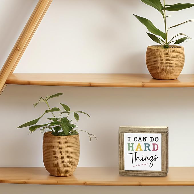 I Can Do Hard Things Sign, Inspirational Deocr, Wood Box Decor Desktop, Motivational Gift For Man Women, Sarcastic Positive Affirmations Decor, Farmhouse Home Office Decoration
