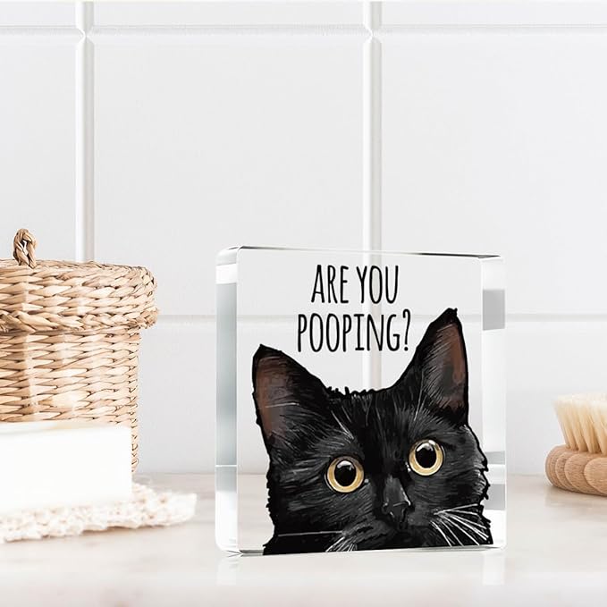 Are You Pooping Funny Sign，Black Cat Decor, Cat Bathroom Acrylic Decor，Home Decor Bathroom Creative Gift Cat Gifts for Women Cat Lovers，Funny Decorate Retro for Home Toilet