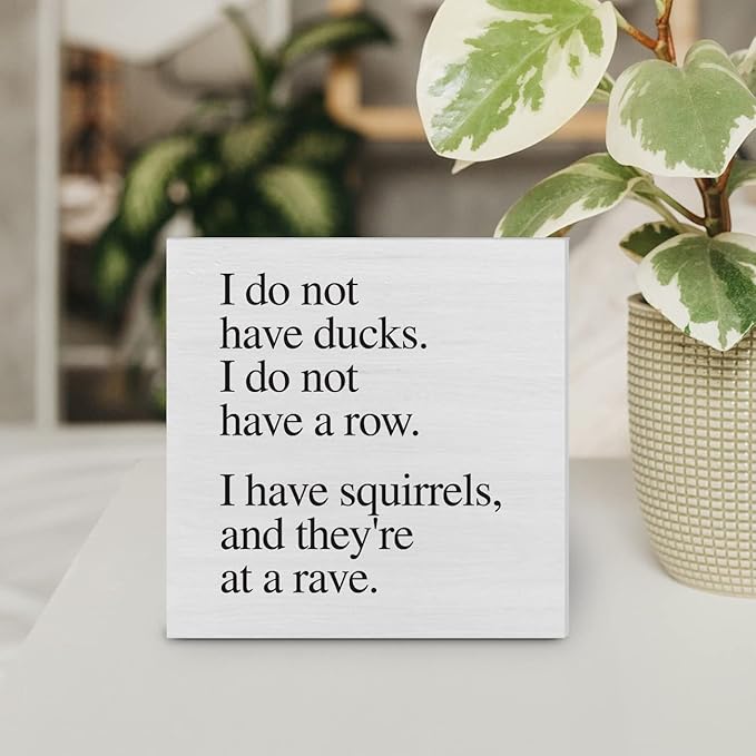 Country Sarcastic Wood Box Sign Decor Desk Sign I Do Not Have Ducks Quote Wooden Box Block Sign Rustic Home Office Shelf Wall Decoration