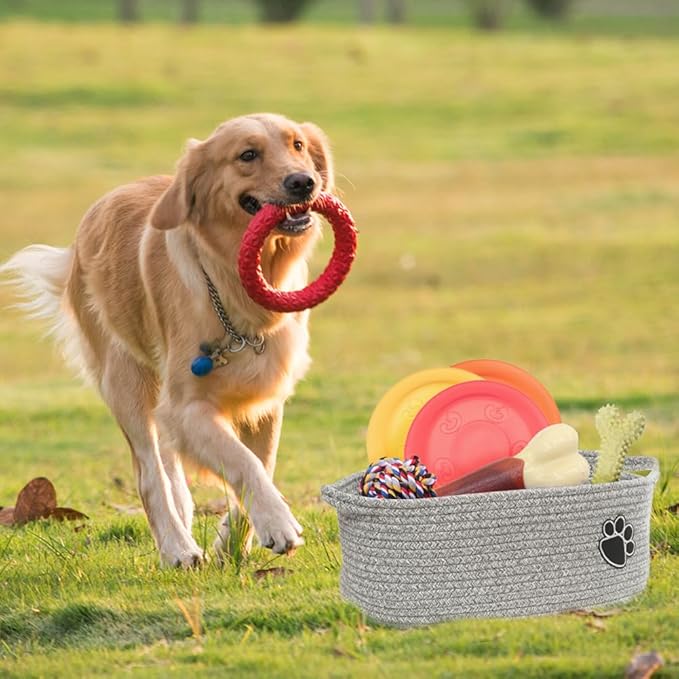 Small Woven Baskets for Organizing Rope Storage Basket with Handle Cute Cotton Basket for Nursery Gift Dog Toy Storage Bins for Toy Organizer-Grey