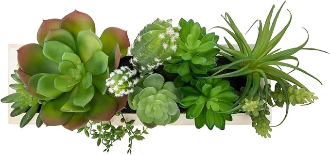 Artificial Succulents Fake Plants in White Rectangular Wooden Pots 12.9"W Artificial Potted Succulents Faux Plants Arrangement for Table Centerpiece Farmhouse Shelf Mantel Tropical Greenery Decor