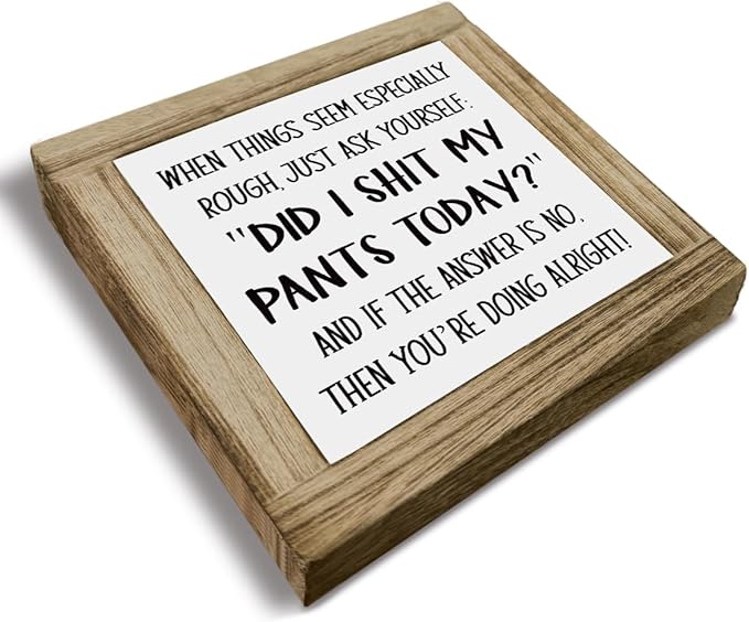 Funny Wood Box Sign, Did I Shit My Pants Today, Sarcastic Gift For Friends Colleague, Motivational Gift, Inspirational Wood Box Desktop Decoration, Funny Farmhouse Home Office Decor