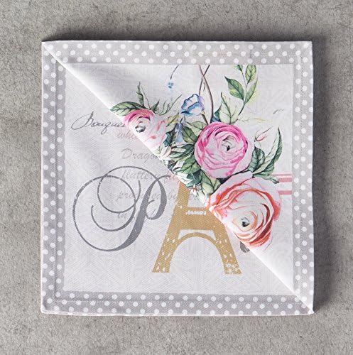 Maison d' Hermine Cloth Napkins Set of 4 100% Cotton Everyday Reusable Square Napkins Cloth Washable, Dinner, Party, Wedding, Restaurant, Spring/Summer (Champ De Mars, 20" x 20")