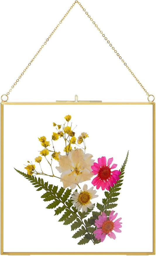 TLBTEK 6 inch Hanging Photo Frame, Double Glass Frame for Pressed Flowers,Clear DIY Vintage Artwork Display Frame Wall Mounted Photos Frame