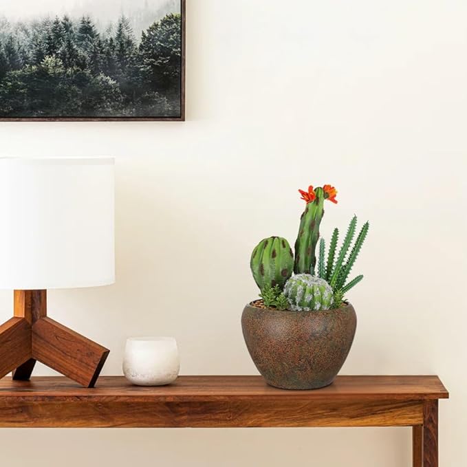 Assorted Artificial Cactus Plants Indoor - 5.9" Small Faux Succulent Cacti Plants in Pots Mini Fake Flowering Cactus Potted with Bowl for Home Office Living Room Bathroom Shelf Table Indoor Decor