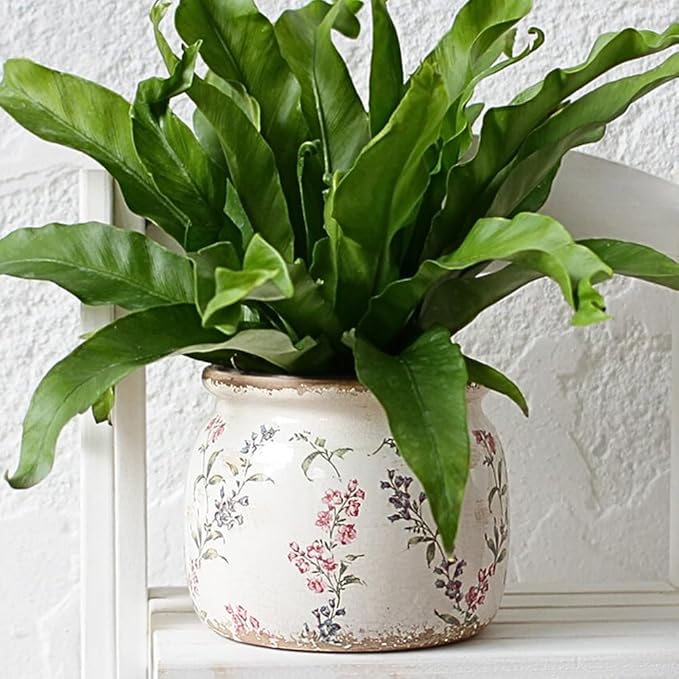 Flower Pots, Vintage Planters for Indoor Plants, 6.29'' Plant Pots with Drainage, Ceramic Pots for Plants, Vase & Planters, Indoor Planter for Home, Fall Decor, Purple Red