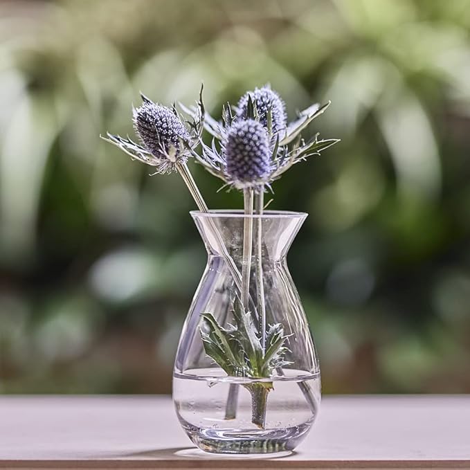 CHIVE ‘George’ Glass Bottle Flower Vases — Set of 6 — Small, Elegant Clear Glass Bud Vases — Bulk Pack for Home Decor & Table Centerpieces — Shape 2 (Oval, 5" Tall, 2.5" Wide)