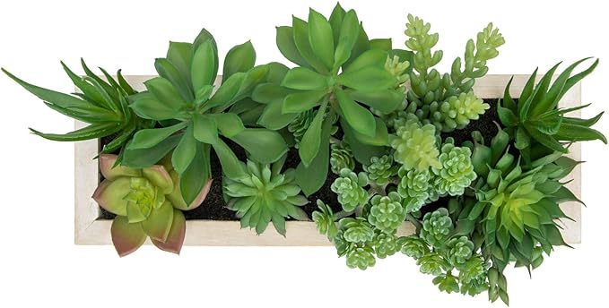 Artificial Succulents Fake Plants in White Rectangular Wooden Pots Artificial Potted Succulents Faux Plants Arrangement for Table Centerpiece Farmhouse Shelf Mantel Tropical Greenery Decor