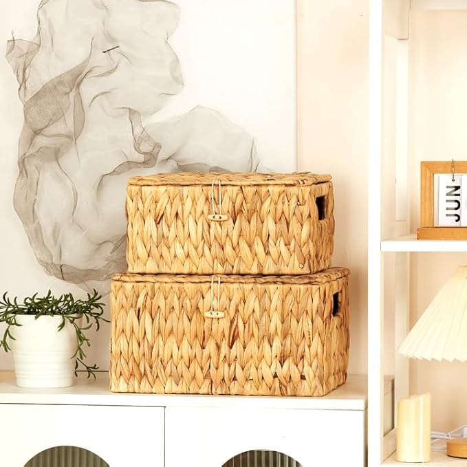 Wicker Basket with Lid, Water Hyacinth Storage Baskets for Shelves, Large & Small Storage Basket with Lid and Built-in Handles, Hand Woven Hyacinth Baskets 2 Pack