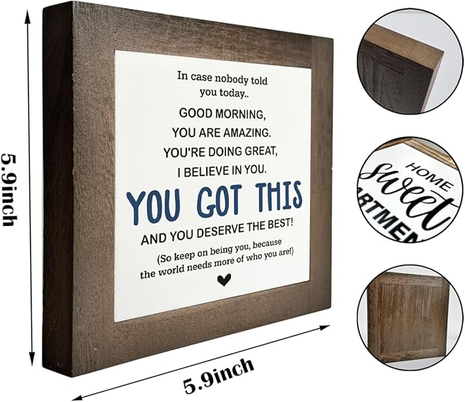 Inspirational Sign, Box Wood Plaques Desk Décor, Decorative Sign Table Decor, Affirmation Wood Plaque, Office Gift, Gift for Coworker Friends Family Kids, You Got This and Deserve the Best Sign C1