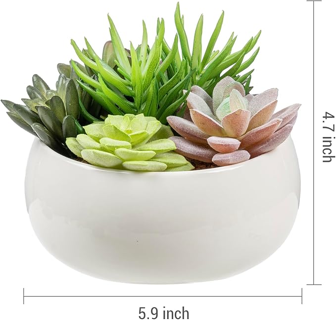 MyGift 6 Inch Round Modern Artificial Succulent Arrangement Potted in White Ceramic Plant Bowl, Assorted Faux Mini Succulents in a Decorative Planter Pot