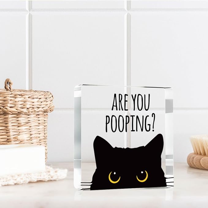 Are You Pooping Funny Sign，Black Cat Decor， Cat Bathroom Decor，Home Decor Bathroom Acrylic Creative Gift Cat Gifts for Women Cat Lovers，Funny Decorate Retro for Home Toilet 4x4 Inches