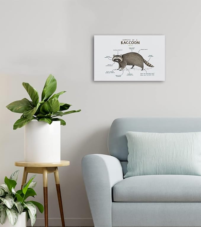 NOGRIT raccoon decor raccoon wall art racoon gifts for women Anatomy of A Raccoon Canvas Wall Art 14×11 racoon Themed Decor For Home Bedroom Living Room Boys Room Nursery Playroom Classroom,raccoon art Prints