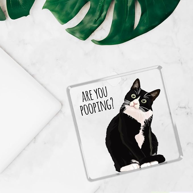 Are You Pooping Funny Sign，Black Cat Decor, Cat Bathroom Acrylic Decor，Home Decor Bathroom Creative Gift For Women Men，Funny Decorate Retro for Home Toilet
