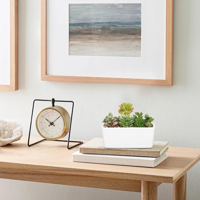 Artificial Succulents Plants in White Ceramic Planter Assorted Fake Plant in Pots Arrangement Fake Succulent Potted Plant for Home Office Desk Bathroom Shelf Living Room Indoor Outdoor Decor