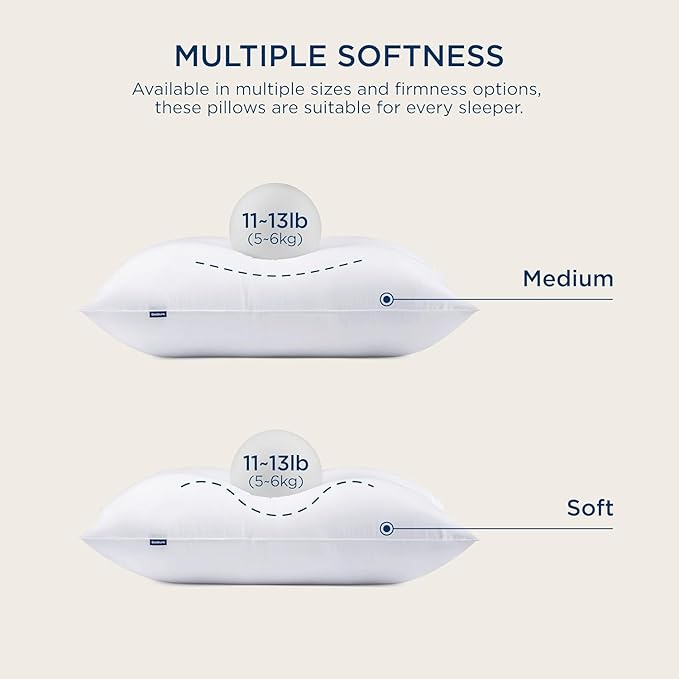 Bedsure Pillows Queen Size Set of 2 - Soft Bed Pillows for Sleeping 2 Pack, Fluffy and Supportive, Hotel Quality, Original Down Alternative Filling for Side, Back Sleepers