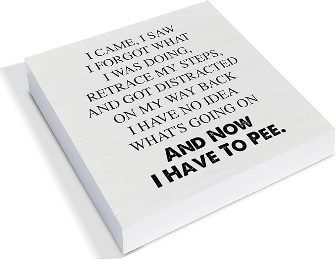 Country I Came I Saw I Forgot Sayings Wood Box Sign Decor Desk Sign Funny Wooden Box Block Sign Home Office Shelf Wall Decoration