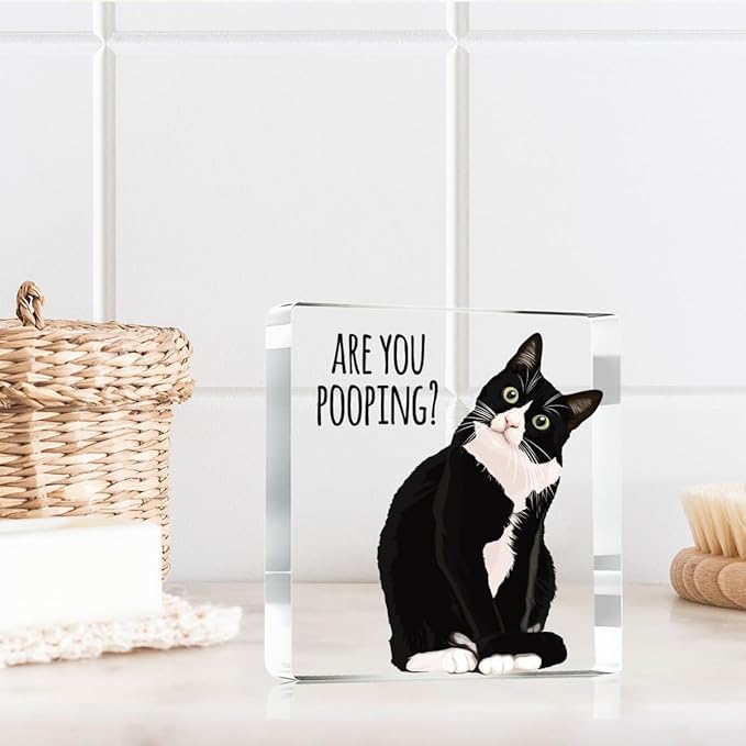 Are You Pooping Funny Sign，Black Cat Decor, Cat Bathroom Acrylic Decor，Home Decor Bathroom Creative Gift For Women Men，Funny Decorate Retro for Home Toilet