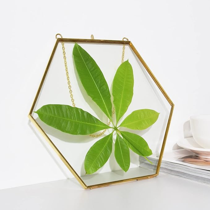 TLBTEK Brass Hanging Photo Frame,9.5 Inch Hexagon Glass Frame for Pressed Flowers,Clear DIY Vintage Artwork Display Frame Wall Mounted Photos Frame