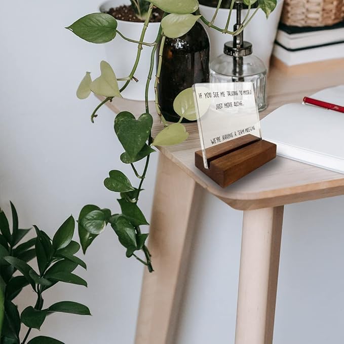 Home Office Desk Decor - Funny Quote Acrylic Sign With Wooden Stand - Gift for Coworker, Sister or Women