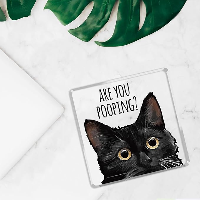 Are You Pooping Funny Sign，Black Cat Decor, Cat Bathroom Acrylic Decor，Home Decor Bathroom Creative Gift Cat Gifts for Women Cat Lovers，Funny Decorate Retro for Home Toilet
