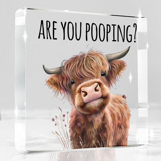 Highland Cow Bathroom Decor Gifts,Are You Pooping Funny Acrylic Sign Bathroom Decor for Western & Highland Cow Lovers Gifts for Coworker, Friends, Boss, Men, Women 4x4 Inch