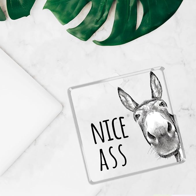 Funny Donkey Animal Prints Toilet Room Decor - Nice Ass Quotes Bathroom Acrylic Sign,Funny Bathroom Decor for Toilet Restroom Washroom Donkey Accessories 4x4 Inch