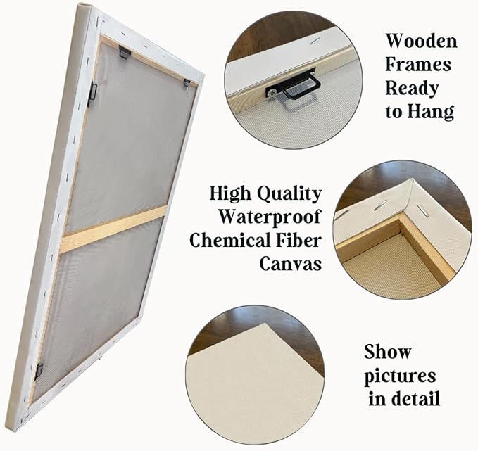 Lord of the Rings Framed Arwen Poster - 14x17 inch Wall Art Decor for LOTR Birthday Gifts