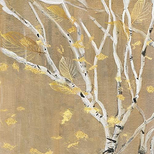 Wexford Home Birch Wood III-Gallery Wrapped Canvas Art Print, 16x16