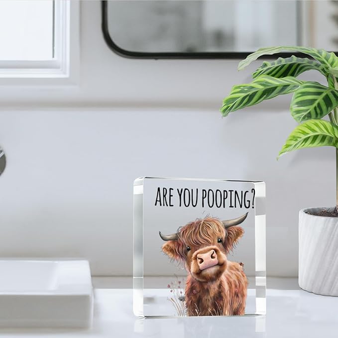 Highland Cow Bathroom Decor Gifts,Are You Pooping Funny Acrylic Sign Bathroom Decor for Western & Highland Cow Lovers Gifts for Coworker, Friends, Boss, Men, Women 4x4 Inch